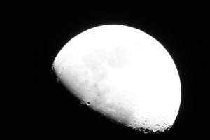 IMG_7235