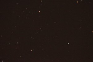 IMG_7239