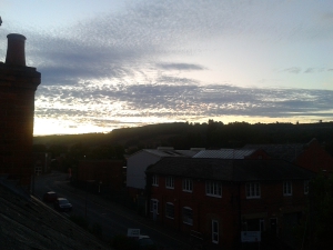 Dorking View